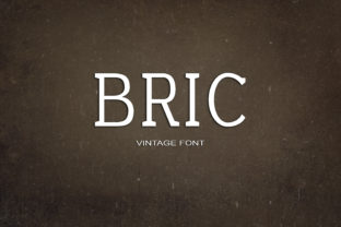 Bric: A Friendly Modern Serif Font for Campaign Design