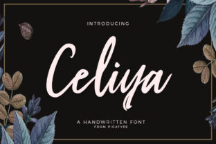 Celiya Script: A Font for a More Memorable Brand