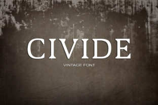 Civide: A Bold Retro Serif Font for Modern Branding