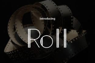 Roll: A Vintage Sans Serif Font for Editorial Character