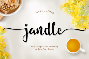 Why I Used Jandle Font to Build My Brand